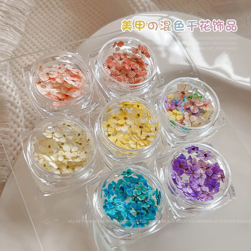 Japanese Manicure Dried Flower Monet Garden Series Spring and Summer New Color Mixed Five-petal Flower Nail Decoration Wholesale