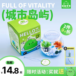 marimo��������Ѝu�Z΢���^���Bƿ�k����ˮ��ֲ��G����I�BҺ