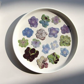 干花;拼插类玩具;科教玩具