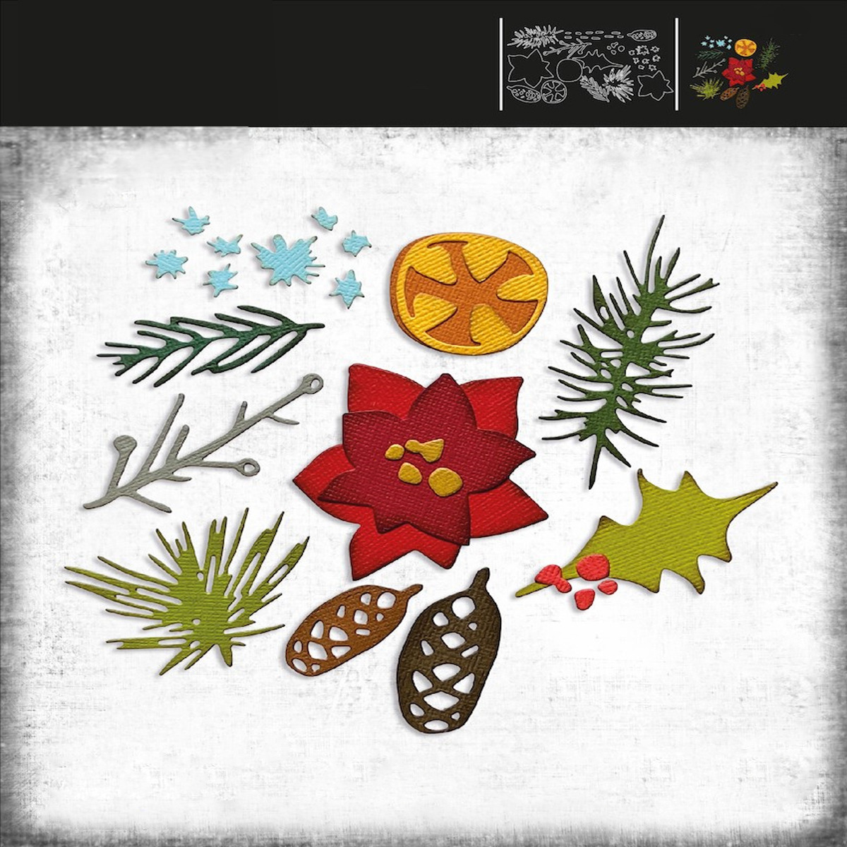 2210-9-24 칼 다이