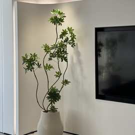 鸭脚木绿植轻奢室内客厅仿生大型盆栽落地假植物