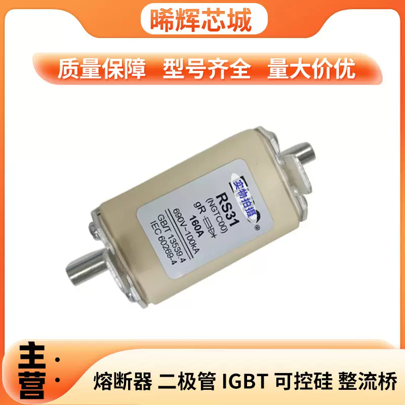 RS31 gR 690V-100A 全新低压快速熔断器 库存充足 现货速发
