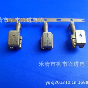 6.3�B���M���������  250�M������    ���������B����
