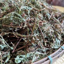 ���߲���ș�� 1kg��Ʒ���߲� �Б��� ֪�߲� ���Ȳ� �³��