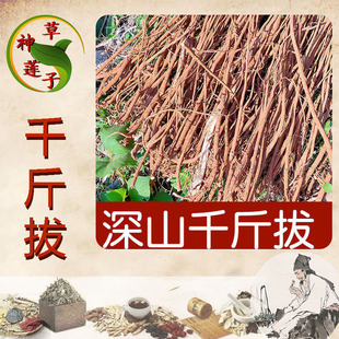 �V������ֱ�l��ș��ǧ��� �����S���غ�������ȫǧ���һ�l��