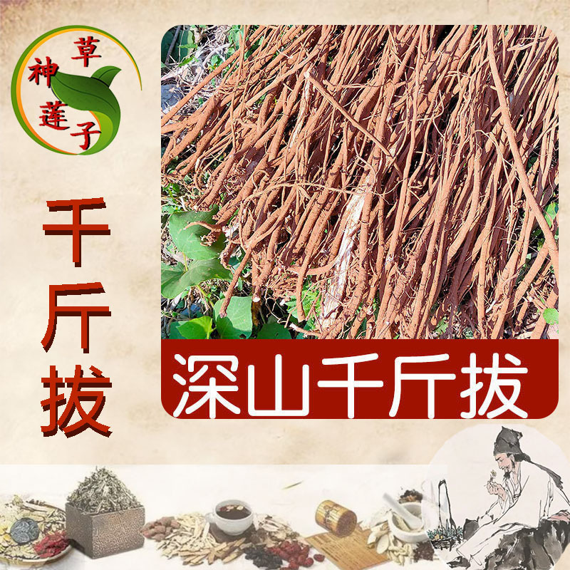 Directly Shipped from Guangxi Base, Chinese Medicinal Materials 0kg Pieces, Whole Bundle from Yellow Soil and Black Soil, the Most Complete Collection of One-Piece Roots Directly Shipped from Guangxi Base, Chinese Medicinal Materials 0kg Pieces, Whole Bundle from Yellow Soil and Black Soil, the Most Complete Collection of One-Piece Roots