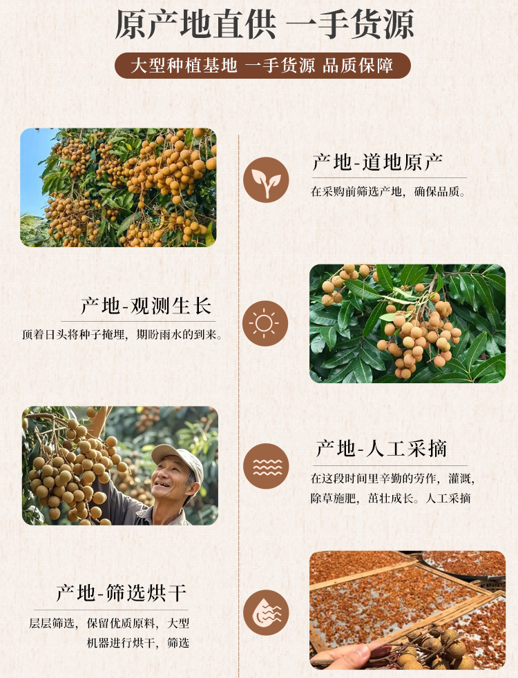 Dried Longan Fruit Gui Yuan 500g Thick Flesh Seedless Style Longan Meat for Tea Soup and Congee quality and texture