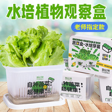 创意盆栽水培阳光种植房儿童玩具科学实验套装植物生长观察盒diy