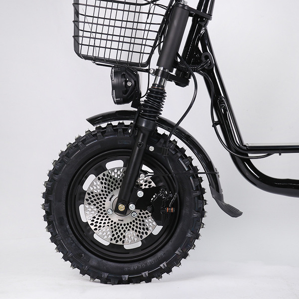 E-bike snow beach off-road fat tire electric bicycle takeout express…