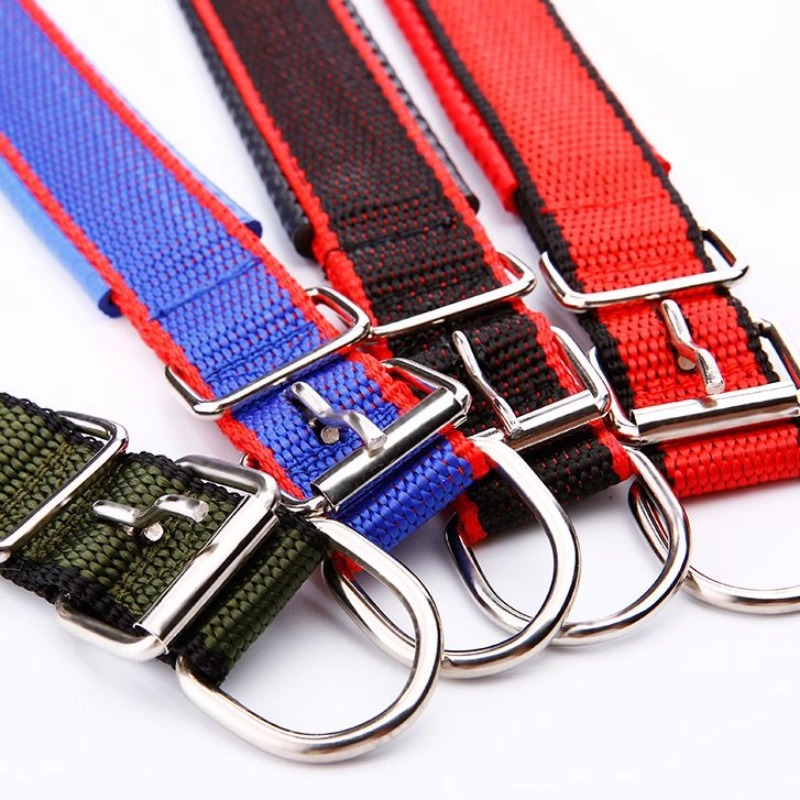 Cadena de perro, correa de perro grande, correa de perro, anti-mordedura, paseador de perro, cadena de hierro gruesa, correa de perro especial, collar de ajuste, entrenamiento de perro