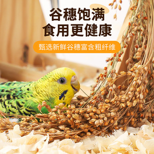 �W�^���뎧���S���ӻ�Ƥĵ�����PС����}����ʳ�������B��ϼZʳ