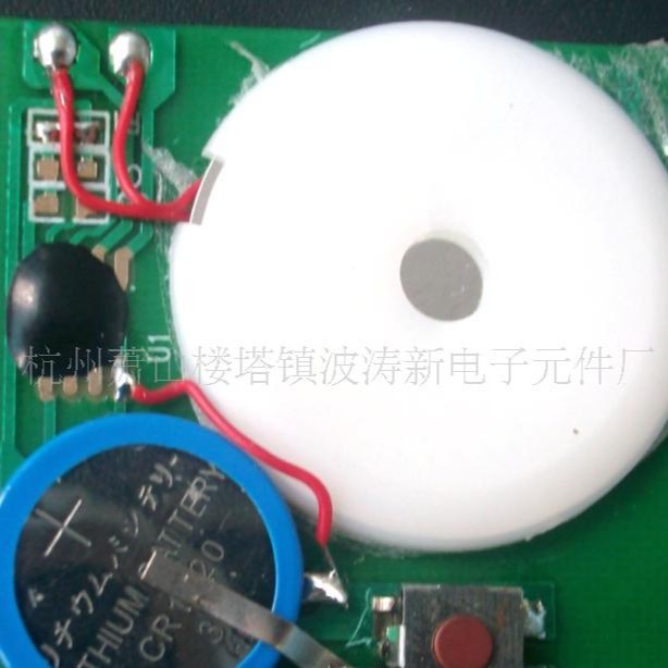 botaoe杭州波涛新电子元件厂供电子音乐IC芯片电子金丝雀声音芯片