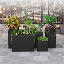 ���������Fˇ����M�ϏV��ͥԺ�̈��쾰���P䓻��������L���λ���