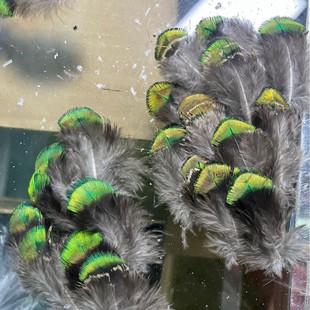 �S�����l��ȸ��ë���c�䮅�I�OӋ�ֹ�diy��؈�����W���b�b���ë