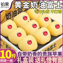 �߶˶Y��10���S�����͸�ʿ�O�����rˮ������ƽ��ɽ�|��̨������]