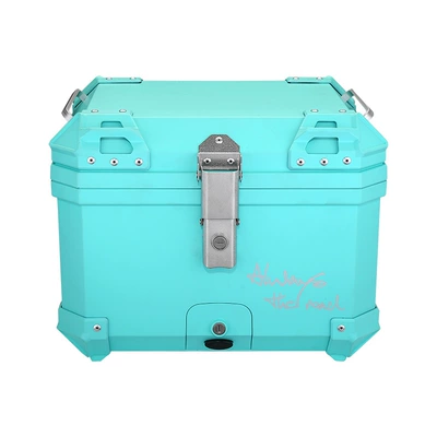 Special Trunk Electric | Motorcycle trunk - mt45-tiffany-25-backrest-lining