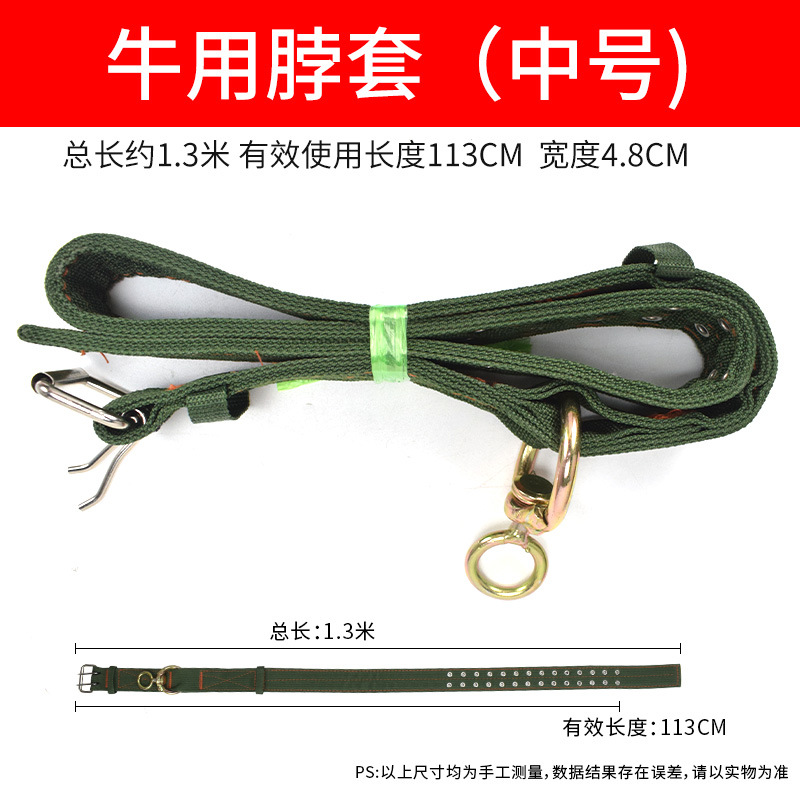 Cabeza de jaula de buey, cuello de buey, cuello de buey