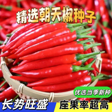 NļСNѳ̨߮a߲˷Nݴȫ