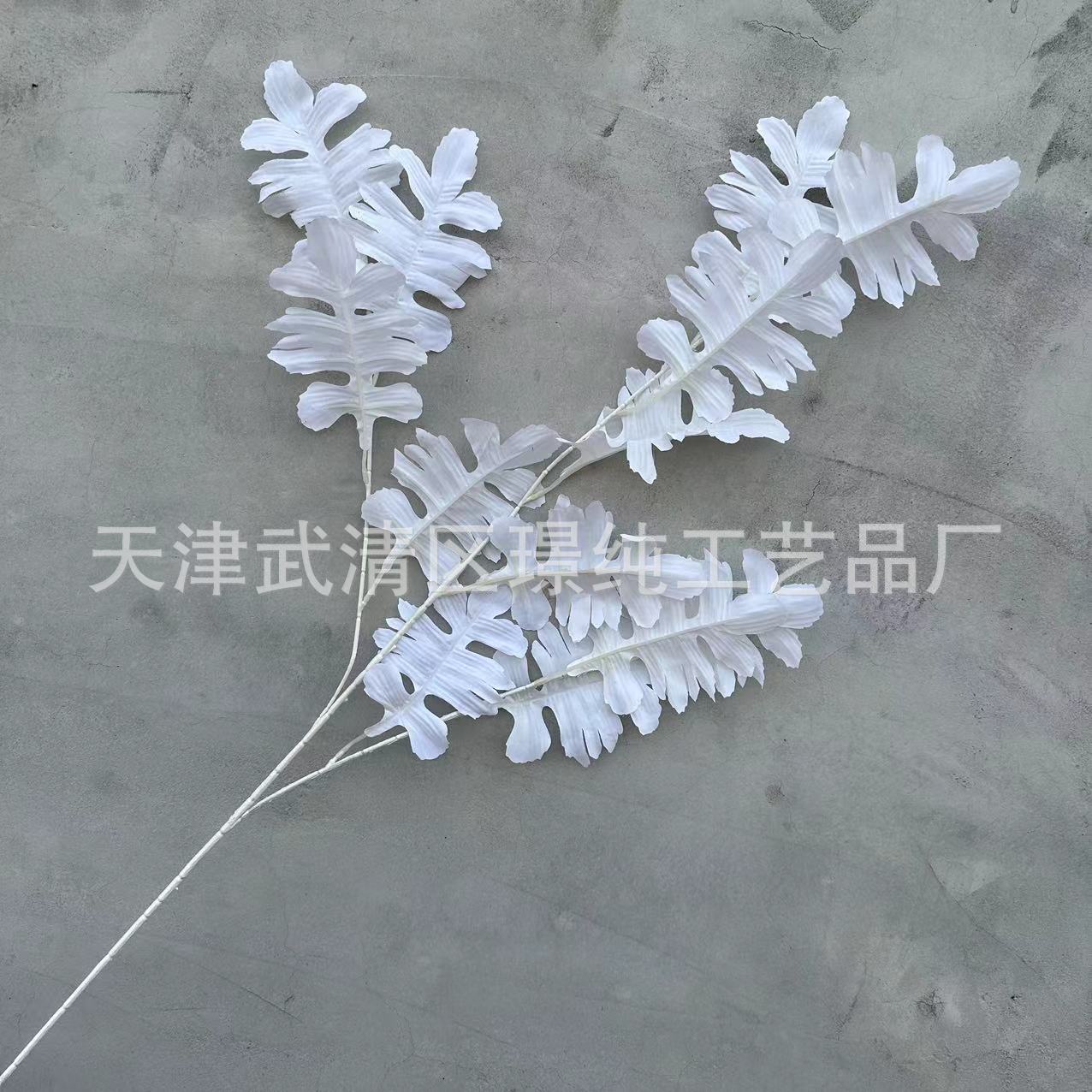 화이트