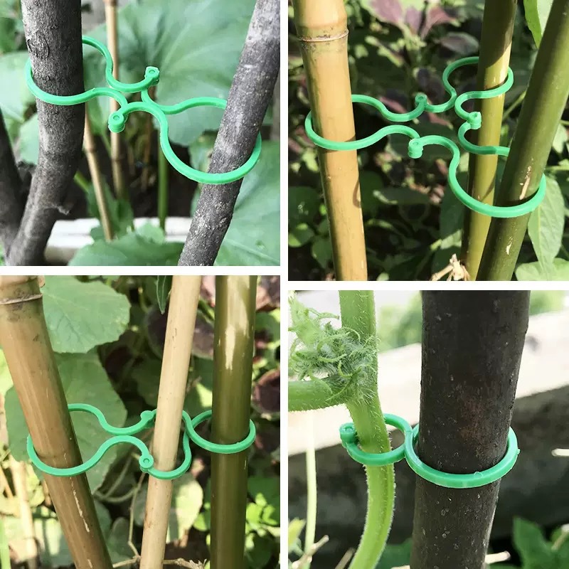 Planting vine fixing clip climbing vine plant stem support garden tools 8-shaped buckle multifunctional gardening buckle 2