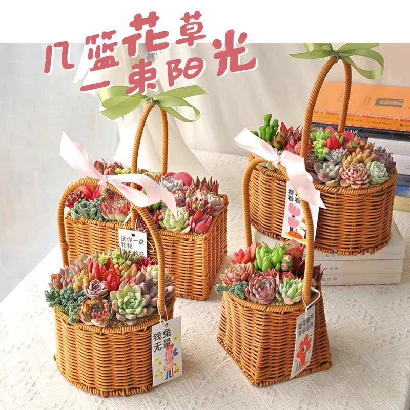 Портативная корзина для суккулентов, сувенирный подарок, керамический горшок для растений, праздничный подарок, горшок для суккулентов, настольные украшения, украшения