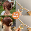 Metal advanced elegant shark, hairgrip, crab pin, brand big hair accessory, high-quality style, South Korea