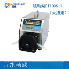�����׸�BT100S-1ʵ���Ҵ�Ť�ص����ͺ�����ͷ�綯��������䶯��