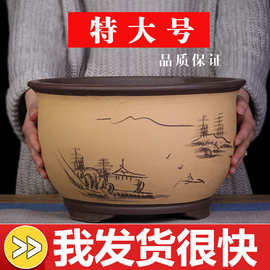 紫砂花盆大号兰花盆阳台种菜盆栽花卉特大号包邮陶瓷熊