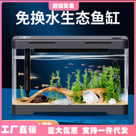 鱼缸小型客厅新款乌龟饲养缸龟缸生态鱼缸电视柜旁鱼缸溪流缸