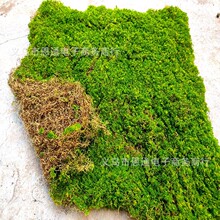 ����Gֲ����̦��ƺ̦�\��ƺ�辰��������ܛ�b�b��\�������