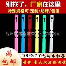 批发宏荣PVC防水环套标签苗木标签花卉园艺标签植物标签环扣标牌