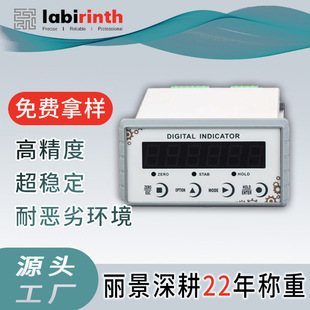Weighing Instrument 4-20 Digital Signal Transmitter Intelligent Sensor High-Precision Digital Scale Digital Display
