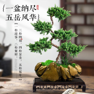 ӭ������������_�h������辰�[���҃ȿ͏d����Gֲ�����Ϙ�����