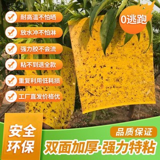 Sticky insect board insect trap board double-sided thickened base material does not deform 28, 30 silk yellow board tea garden orchard greenhouse are available