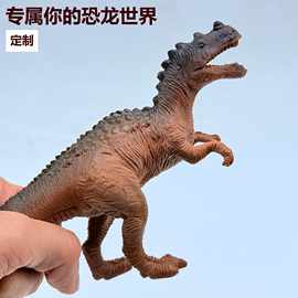 定制仿真野生动物模型儿童早教益智玩具男孩 女孩礼物