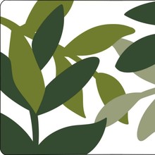 �羳���K����q��̺�؉|��ˮ���m�����c�ܵ׵�̺�؉|���N�״���