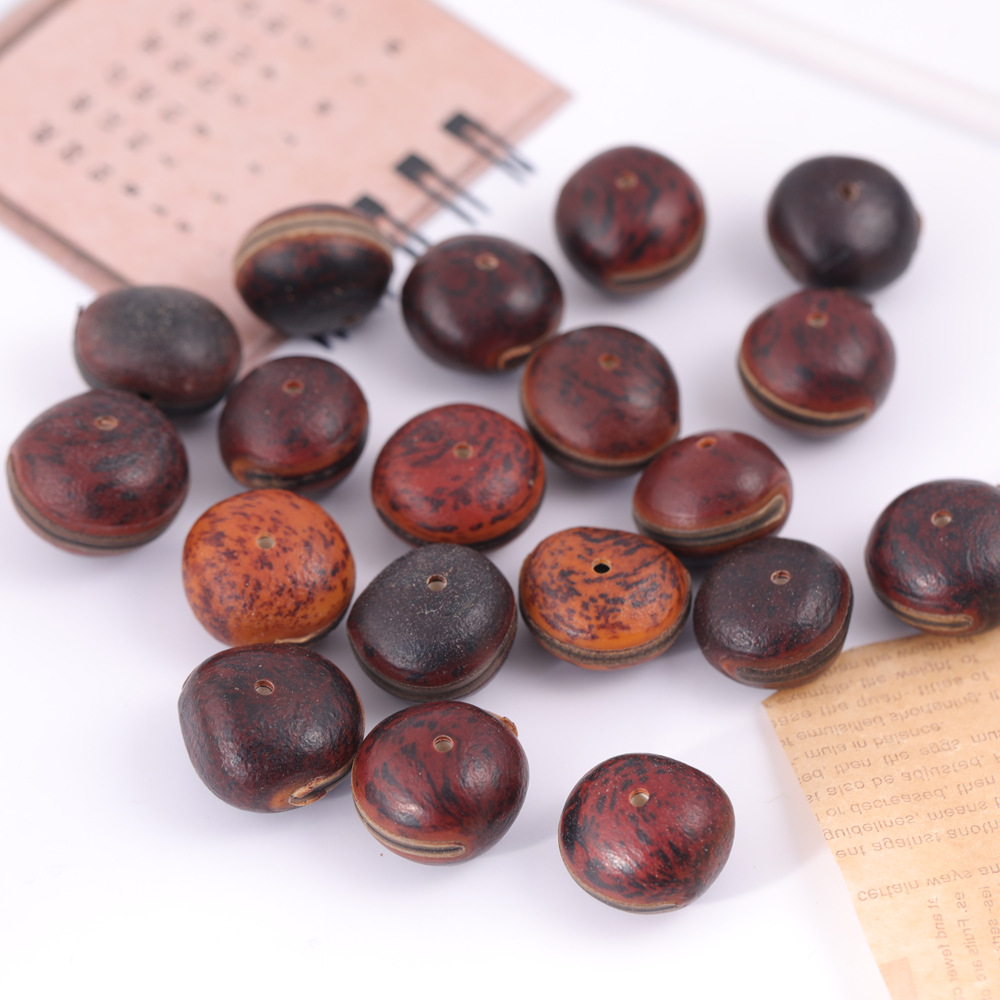 cáscara de fruta campana accesorios de materia prima planta natural cáscara de fruta campana de viento cáscara de fruta campana accesorios hechos a mano material diy image 21