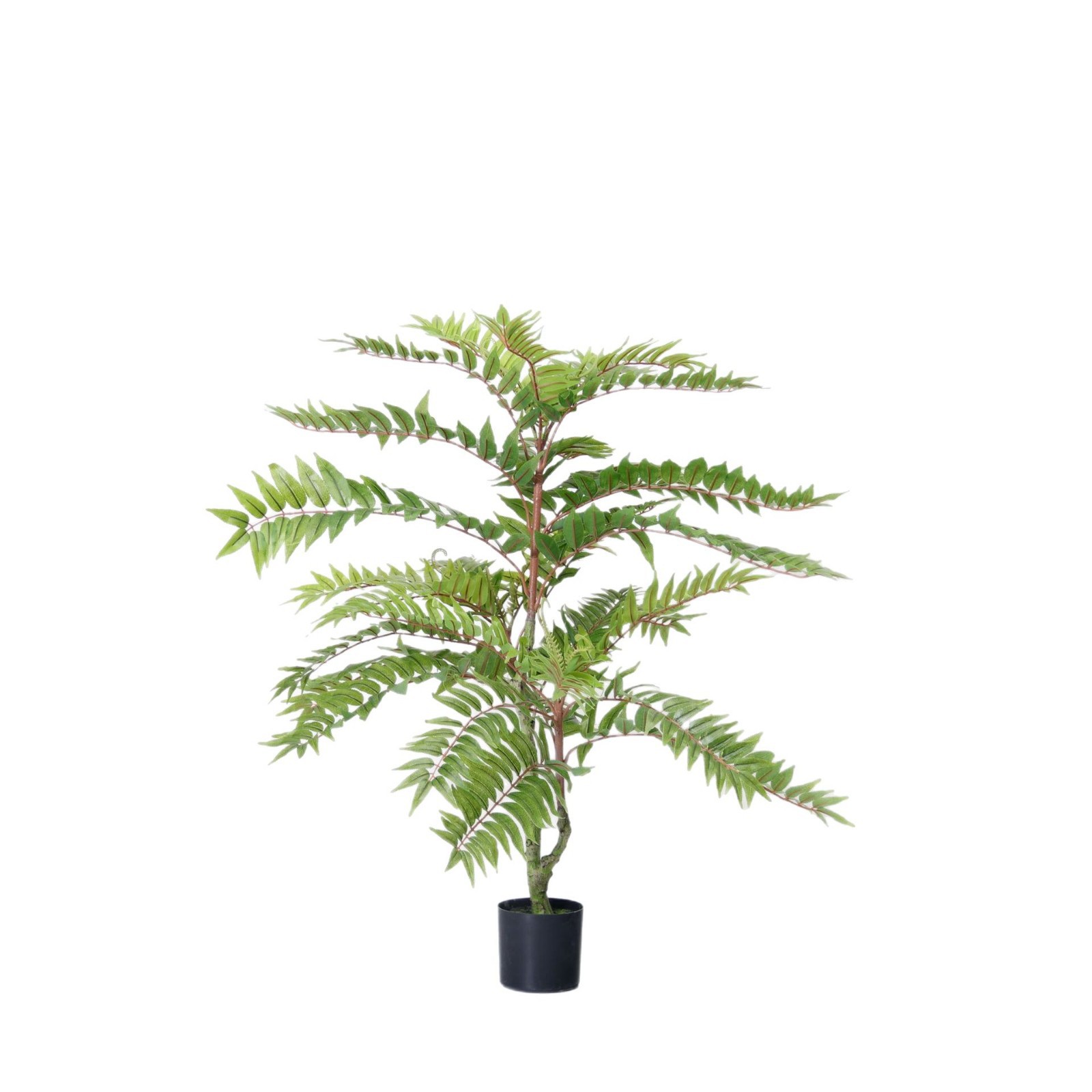 Simulación de plantas verdes, árboles de toon, árboles falsos, plantas en macetas, salas de estar, plantas de simulación, ventanas, decoración de piso