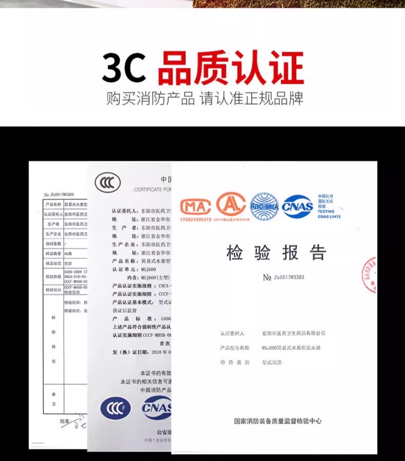 Water-Based Fire Extinguisher for Private Cars, Small Car, Portable Vehicle-Mounted Household Fixed Annual Inspection Fire Equipment Essential
