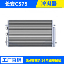 ����CS35S460SC4500�Ǳ���Խ����֮��ŷŵ�������ŷ��������ɢ��
