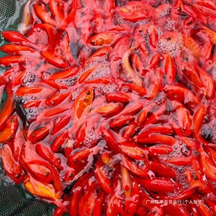 �ͻ���~���~��Ϻ��B�ݽ���ˮ�^�p�~���~����~���~�B������