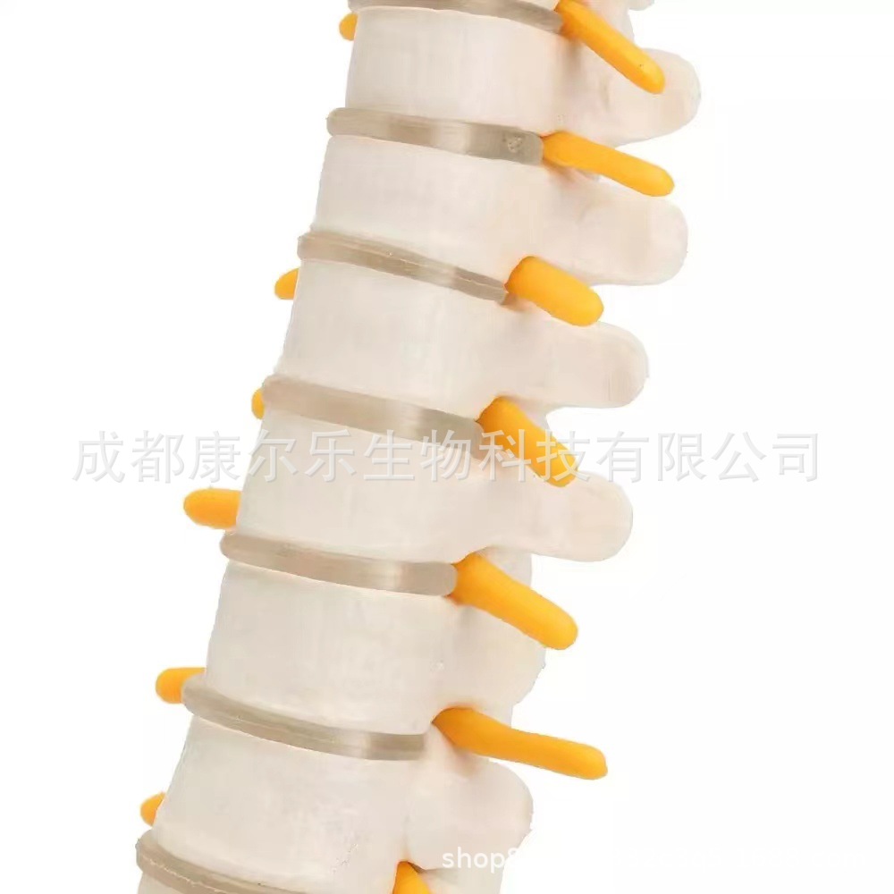 微信图片_20220901103644