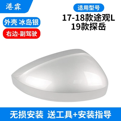Rear Mirror Housing Rear mirror/rearview mirror assembly - shell-iceland-silver-co-pilot