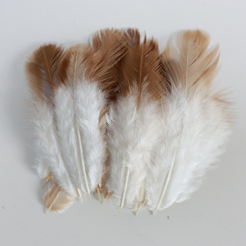 Fábrica al por mayor de bricolaje plumas pequeñas plumas naturales plumas de pollo salvaje plumas de pato jardín de infantes joyas hechas a mano gato divertido material de captura de sueños