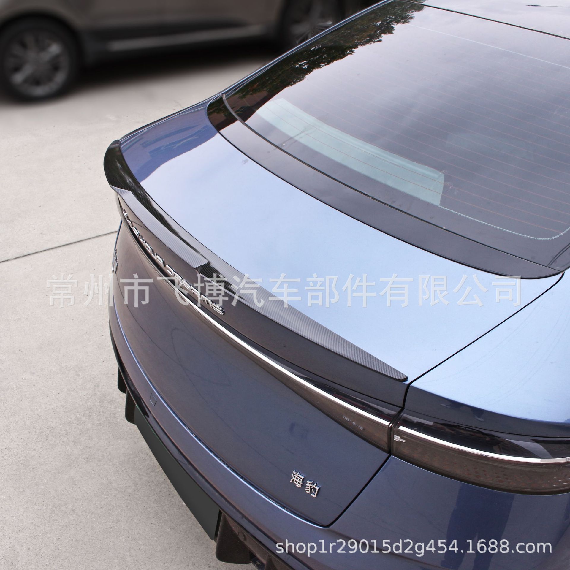 Suitable for 20 Models of Byd Seal Special Rear Wings Original Carbon Fiber Pattern Sports Blade Style Rear Wings