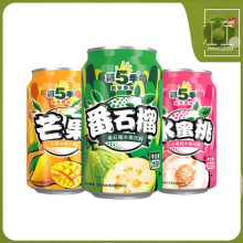 弾֭310ml*12޷ʯζˮζâζb