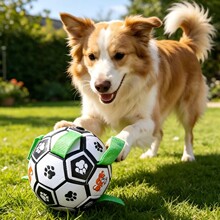 С������߹�����ҧ�␞����»�ȮС����Ȯ���ӌ������]�����