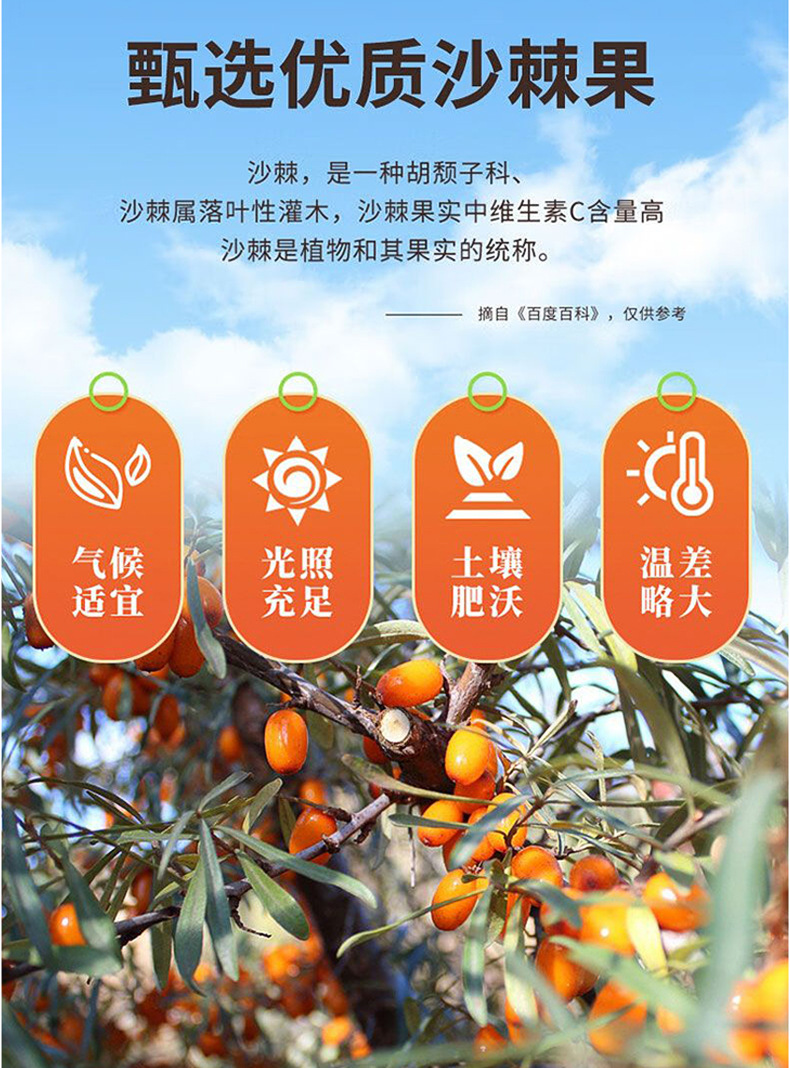 Sea Buckthorn Vitamin C Chewable Tablets Sweet Sour Flavor 50g Bottle quality and texture