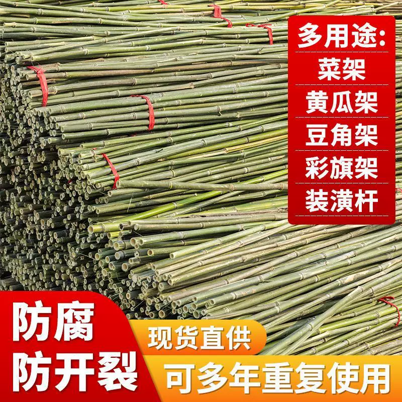 豆角黄瓜爬藤架菜园搭架竹竿园艺篱笆围栏旗杆竹竿瓜果爬藤架支撑