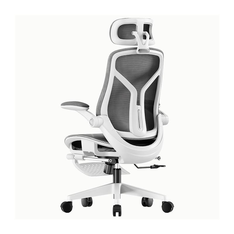 C02Pro Ergonomic Computer Chair Home Sedentary Chair Office Chair Study Chair Gaming Chair
